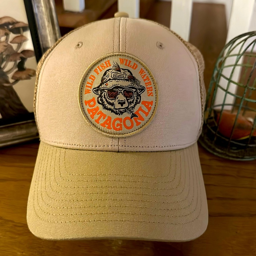 NWOT Patagonia trucker hat